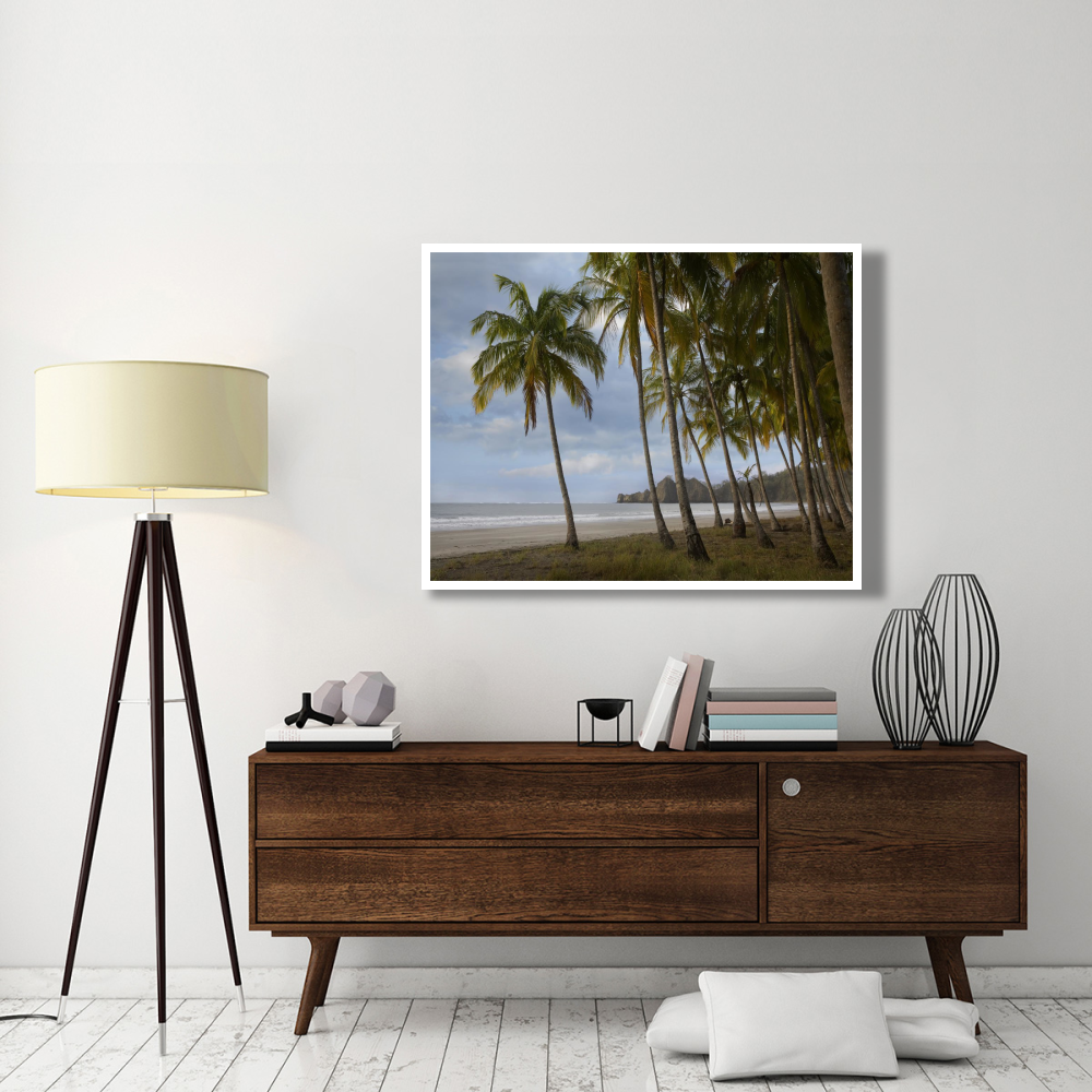 Palm trees line Carillo Beach, Costa Rica-Paper Art-50&quotx38"