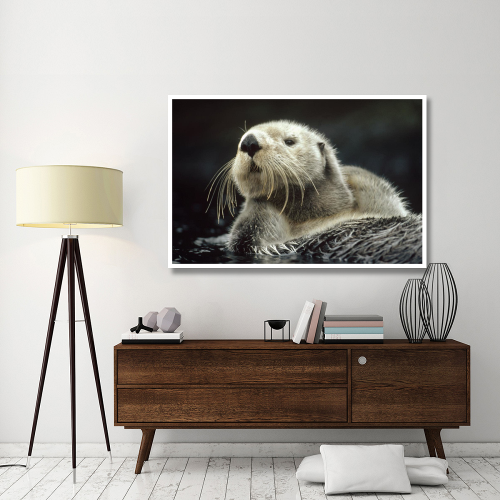 Sea Otter floating in kelp, North America-Paper Art-62&quotx42"