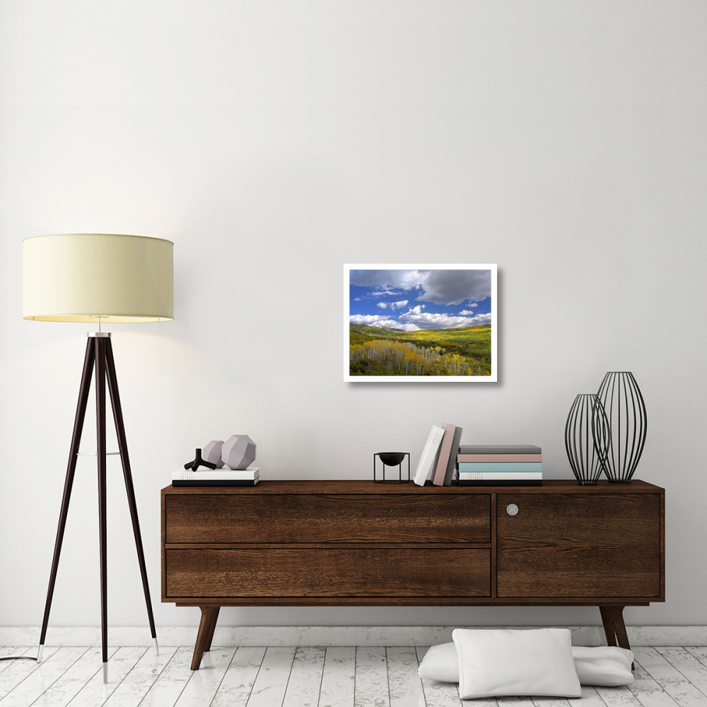 Gunnison National Forest in fall, Colorado-Paper Art-26&quotx20"
