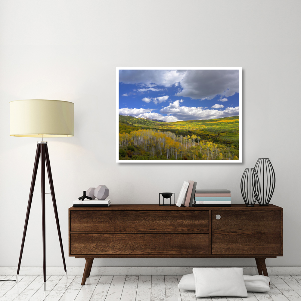 Gunnison National Forest in fall, Colorado-Paper Art-50&quotx38"