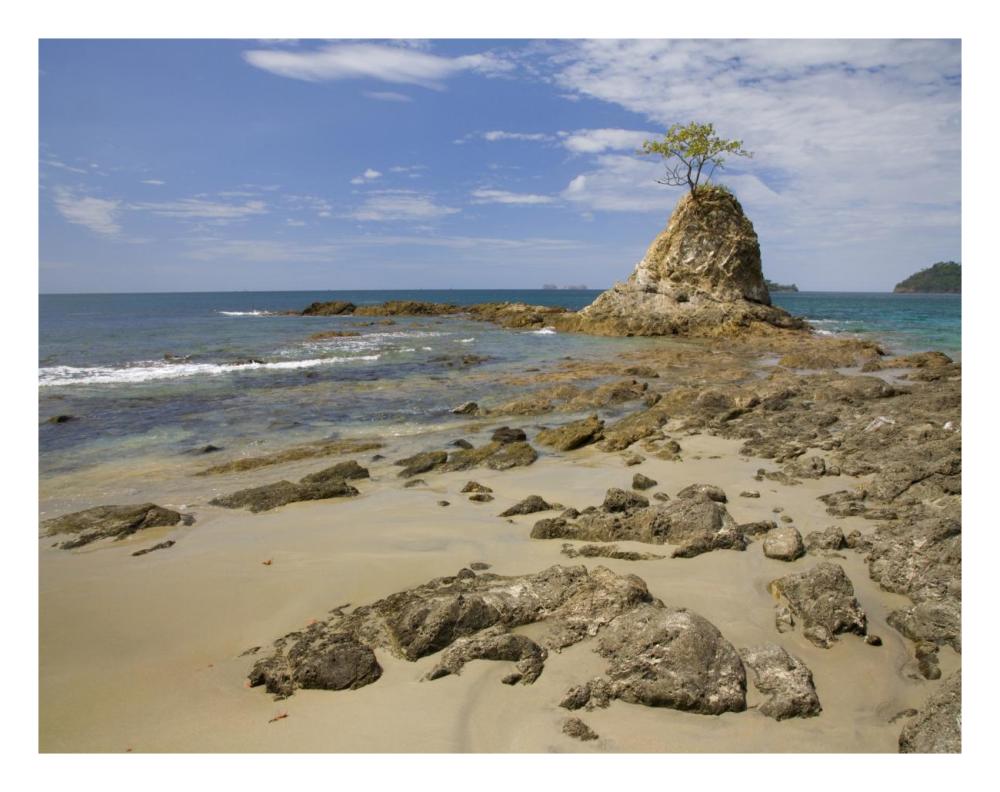 Point with tree on Penca Beach, Costa Rica-Paper Art-26"x20"
