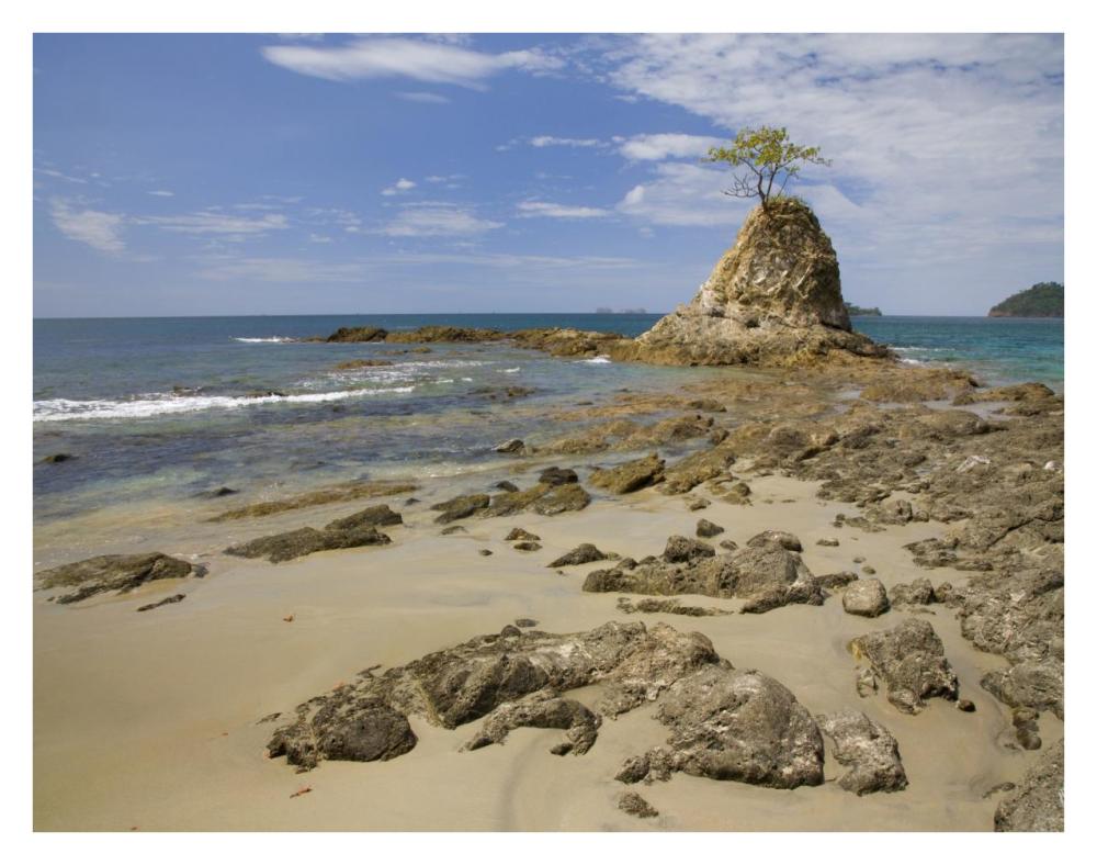 Point with tree on Penca Beach, Costa Rica-Paper Art-34"x26"