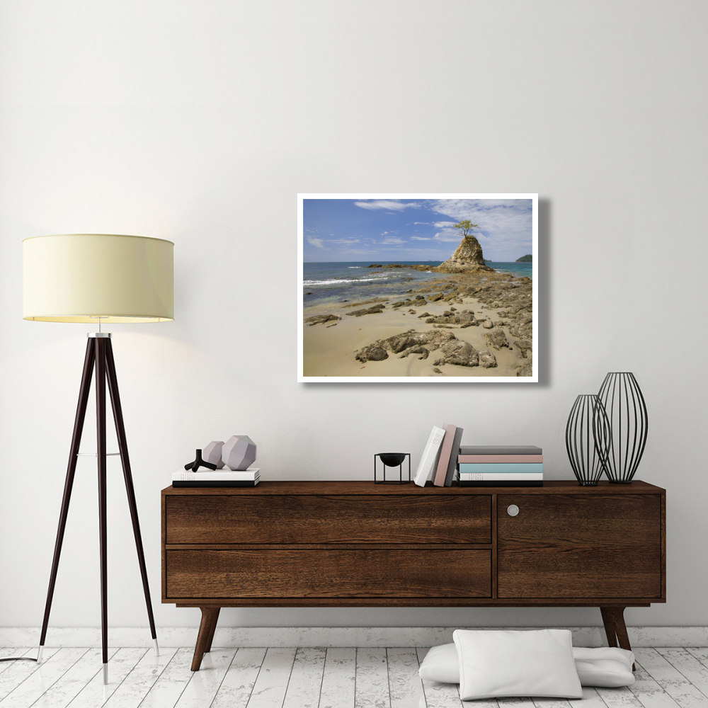 Point with tree on Penca Beach, Costa Rica-Paper Art-42&quotx32"