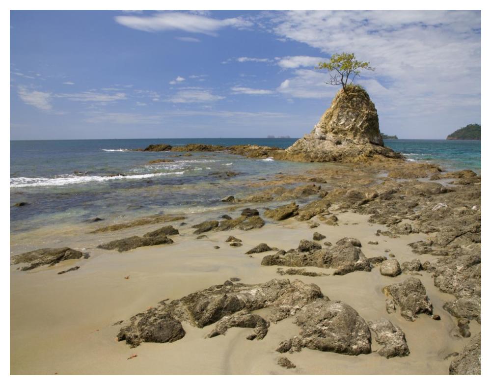 Point with tree on Penca Beach, Costa Rica-Paper Art-50"x38"