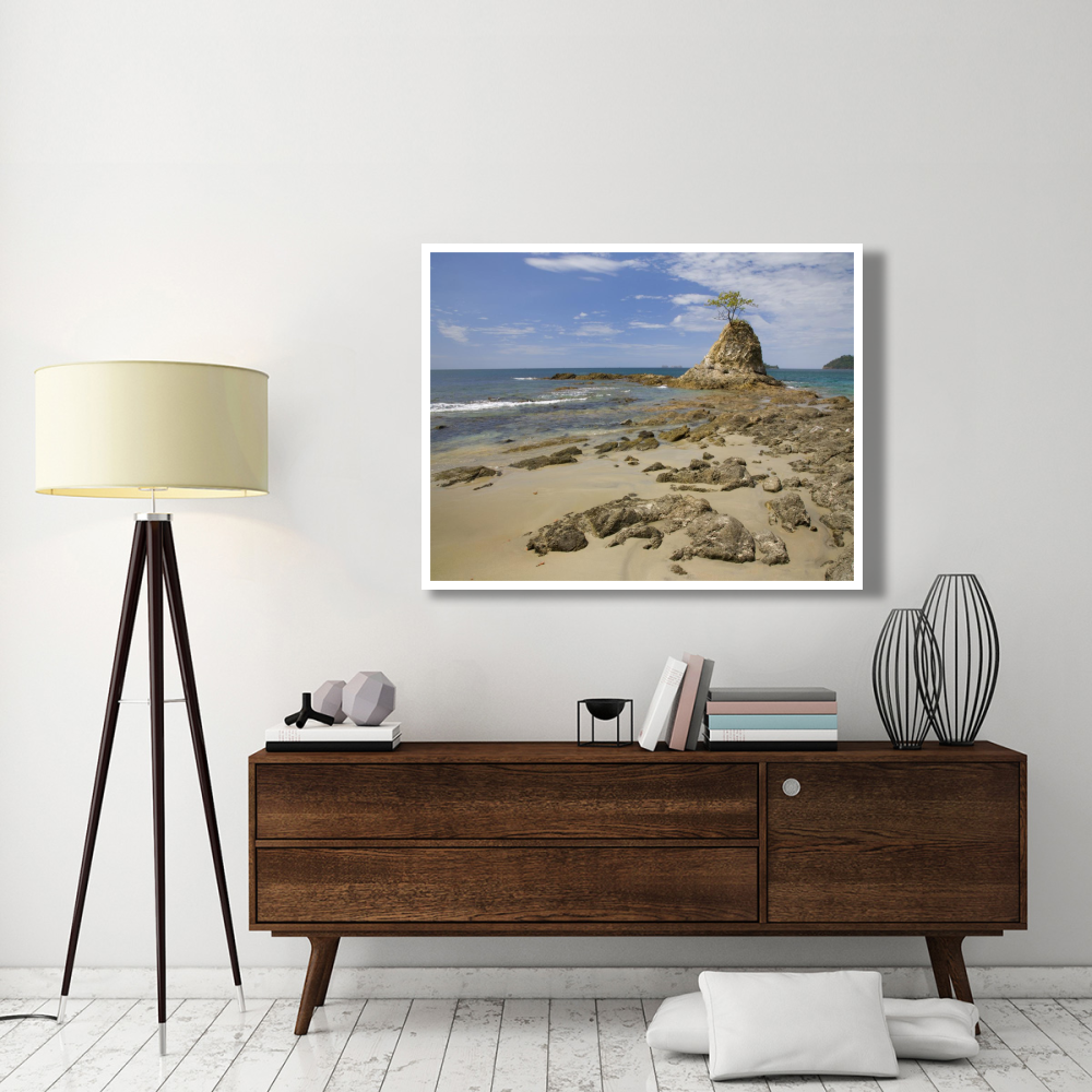Point with tree on Penca Beach, Costa Rica-Paper Art-50&quotx38"