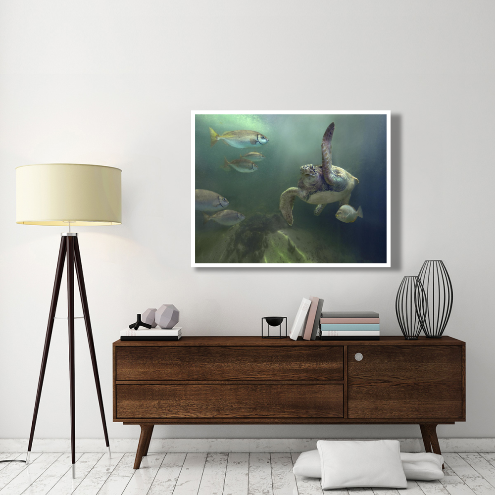 Green Sea Turtle and fish, Sabah, Malaysia-Paper Art-50&quotx38"