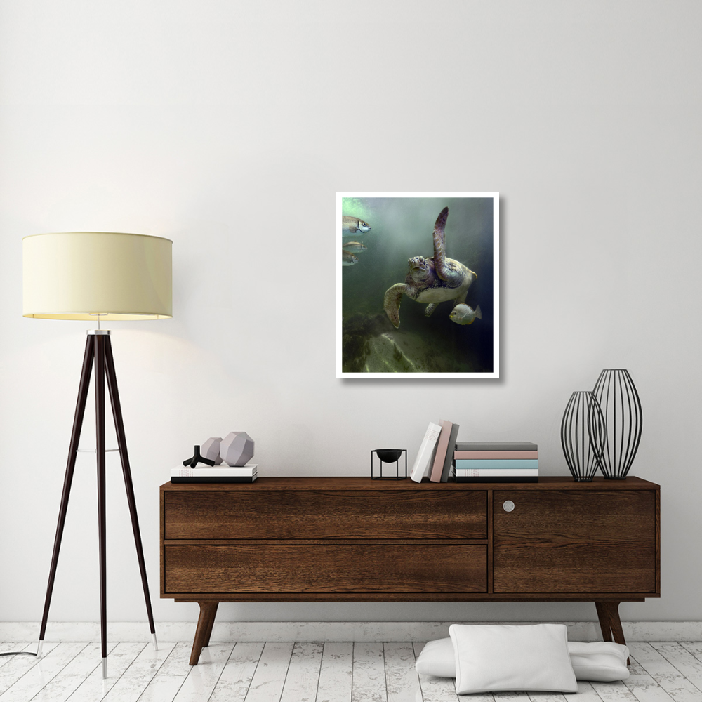 Green Sea Turtle and fish, Sabah, Malaysia-Paper Art-27.8&quotx32"