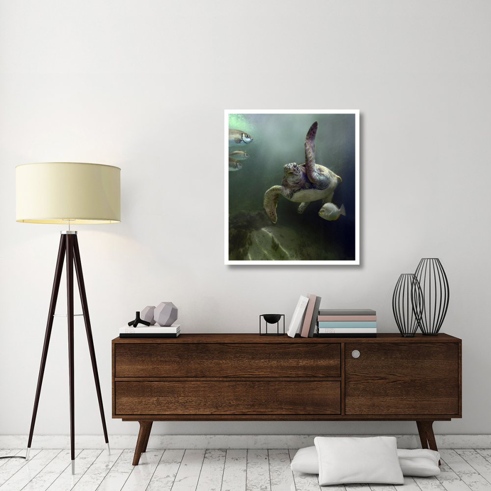 Green Sea Turtle and fish, Sabah, Malaysia-Paper Art-32.96&quotx38"