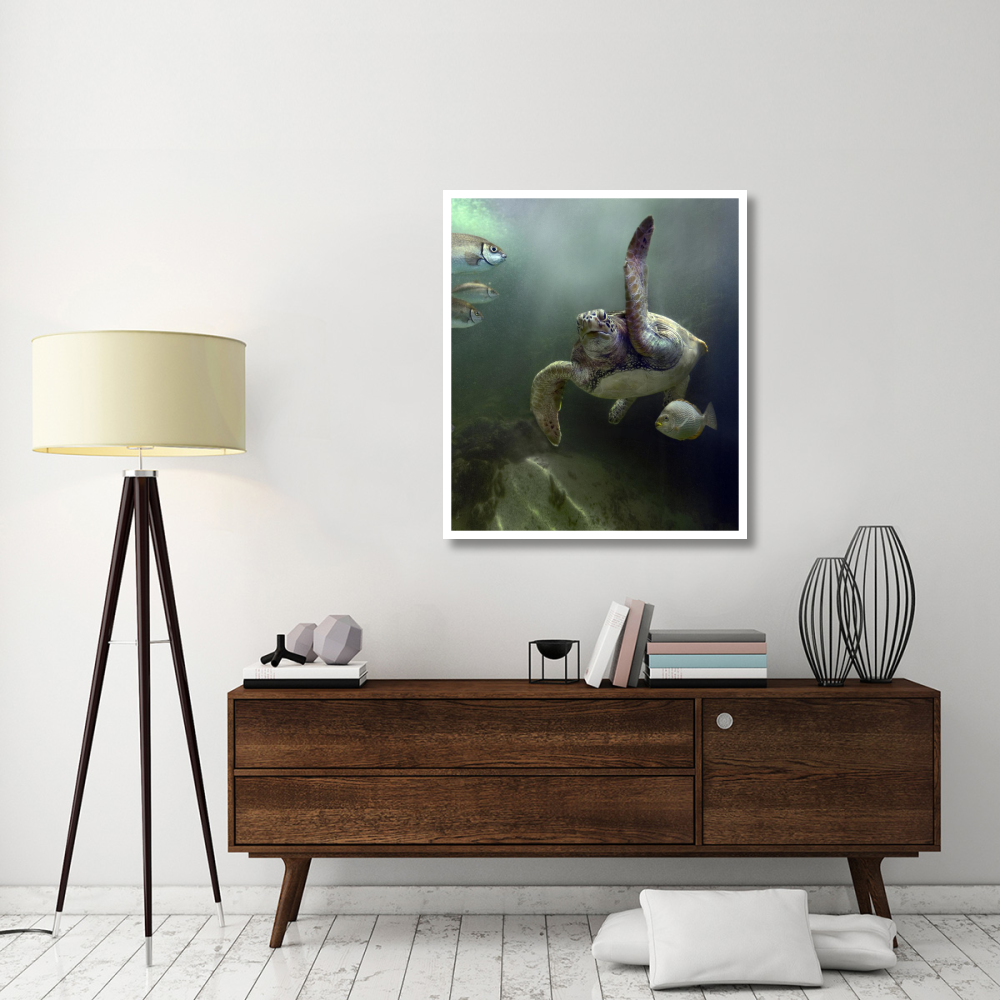 Green Sea Turtle and fish, Sabah, Malaysia-Paper Art-36.4&quotx42"