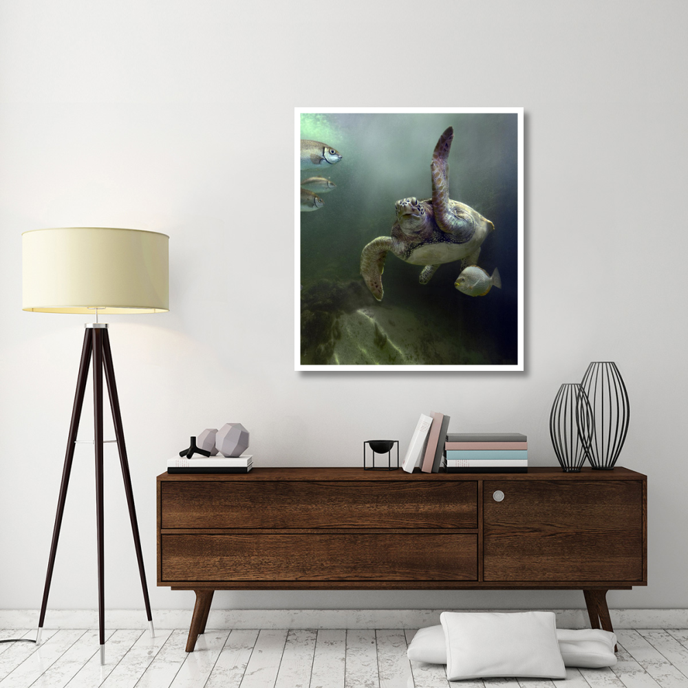Green Sea Turtle and fish, Sabah, Malaysia-Paper Art-39.84&quotx46"