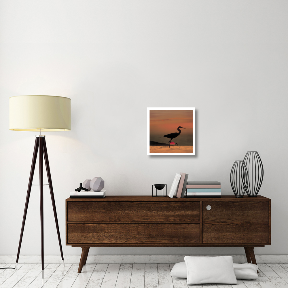 Little Egret silhouetted at sunset, Africa-Paper Art-20&quotx20"