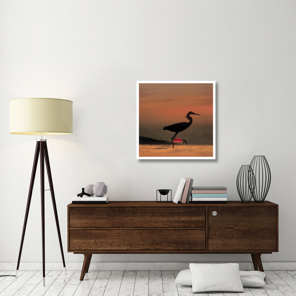 Little Egret silhouetted at sunset, Africa-Paper Art-32&quotx32"