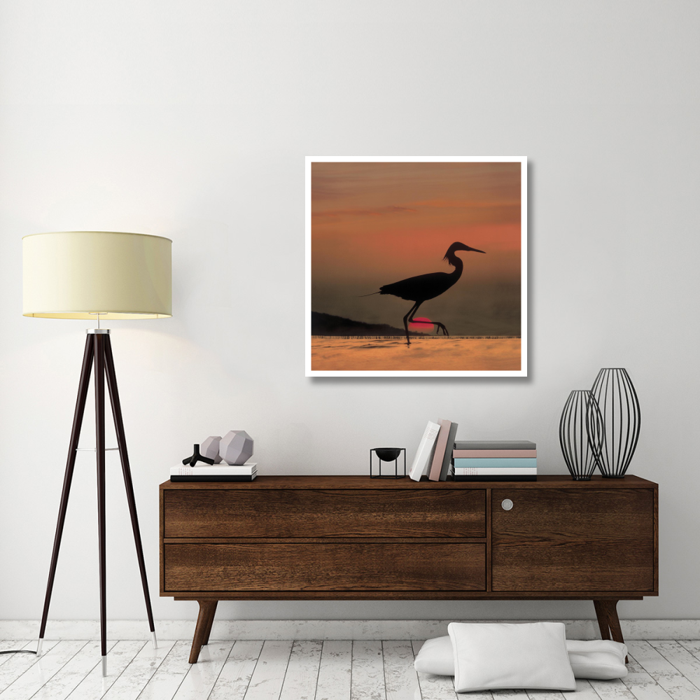 Little Egret silhouetted at sunset, Africa-Paper Art-38&quotx38"