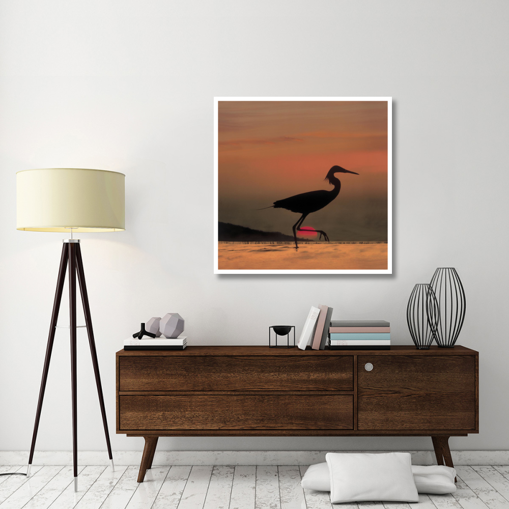 Little Egret silhouetted at sunset, Africa-Paper Art-42&quotx42"