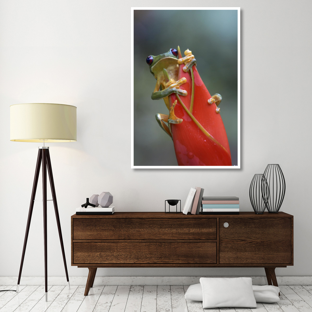 Gliding Leaf Frog on Heliconia, Costa Rica-Paper Art-42&quotx62"