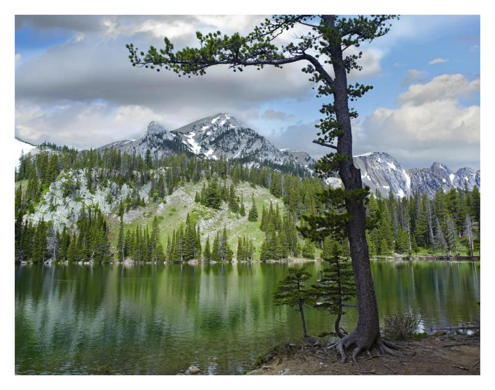 Pine trees reflected in Fairy Lake, Montana-Paper Art-34"x26"