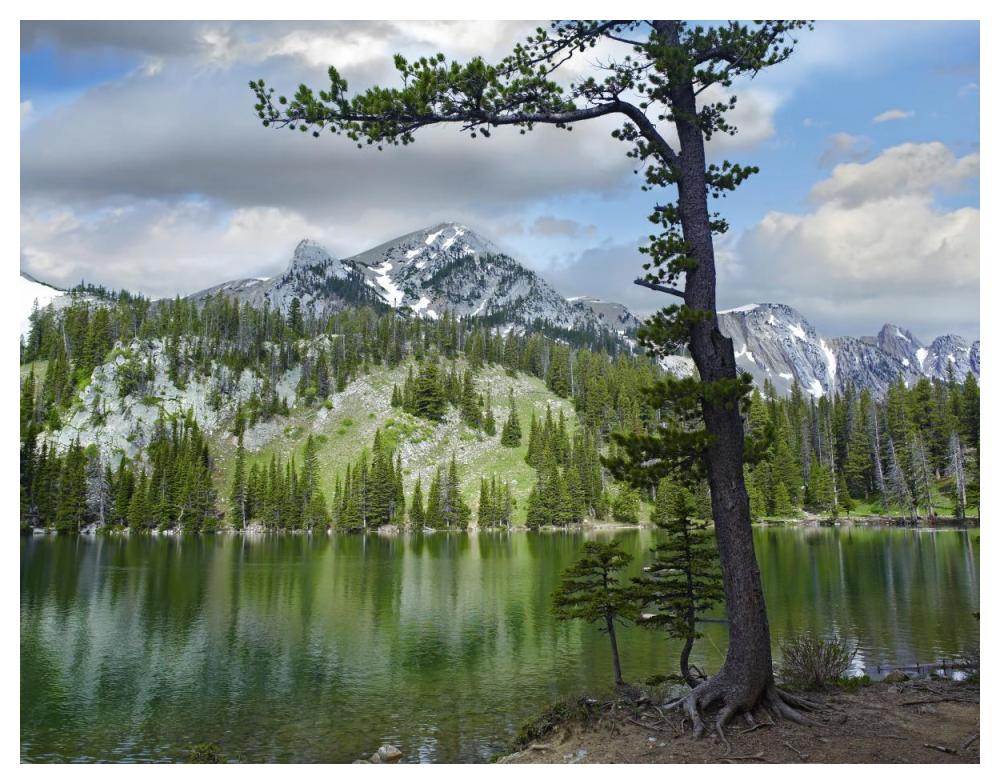 Pine trees reflected in Fairy Lake, Montana-Paper Art-50"x38"