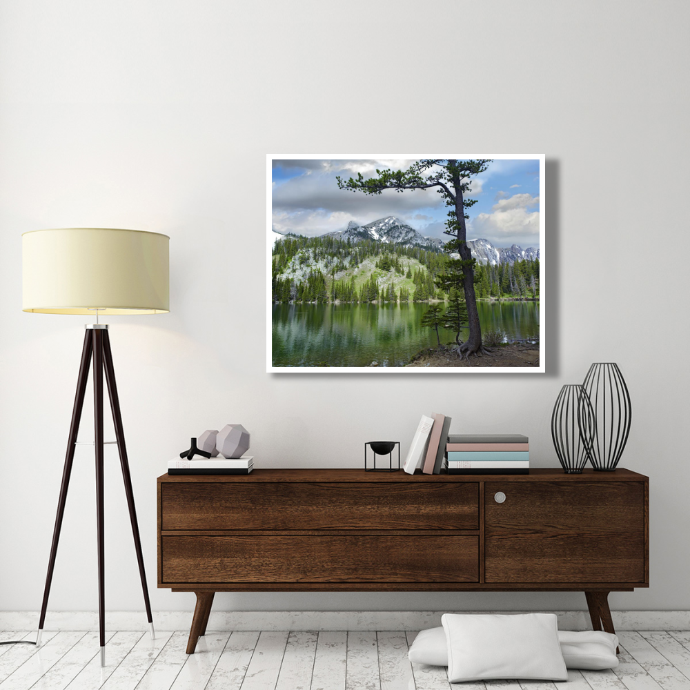 Pine trees reflected in Fairy Lake, Montana-Paper Art-50&quotx38"