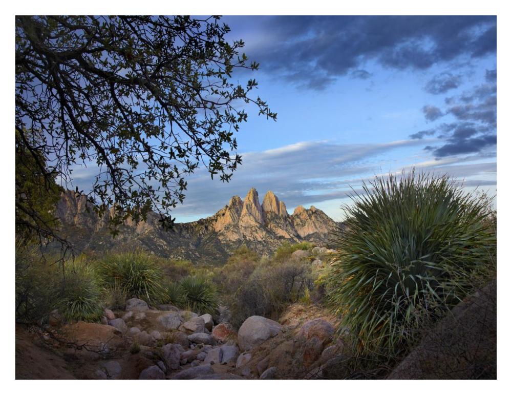 Organ Mountains near Las Cruces, New Mexico-Paper Art-34"x26"