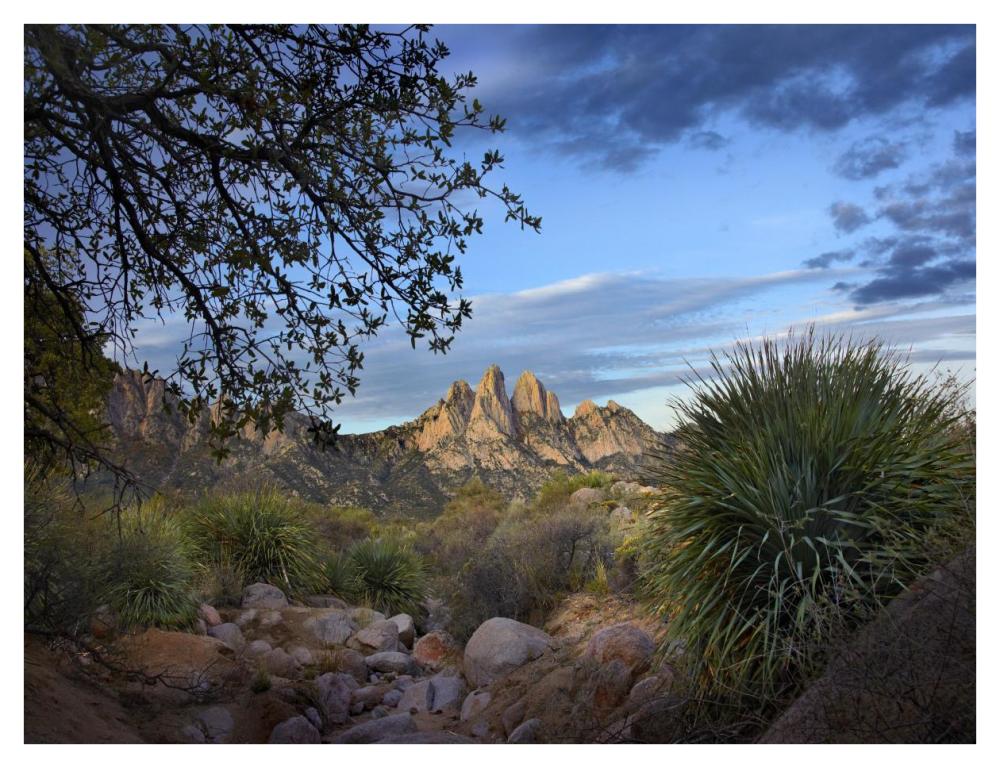 Organ Mountains near Las Cruces, New Mexico-Paper Art-42"x32"