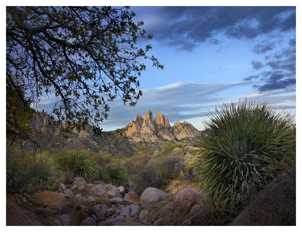 Organ Mountains near Las Cruces, New Mexico-Paper Art-50"x38"