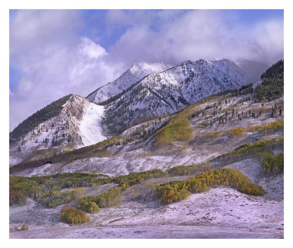 Elk Mountains with snow in autumn, Colorado-Paper Art-32"x26.9"