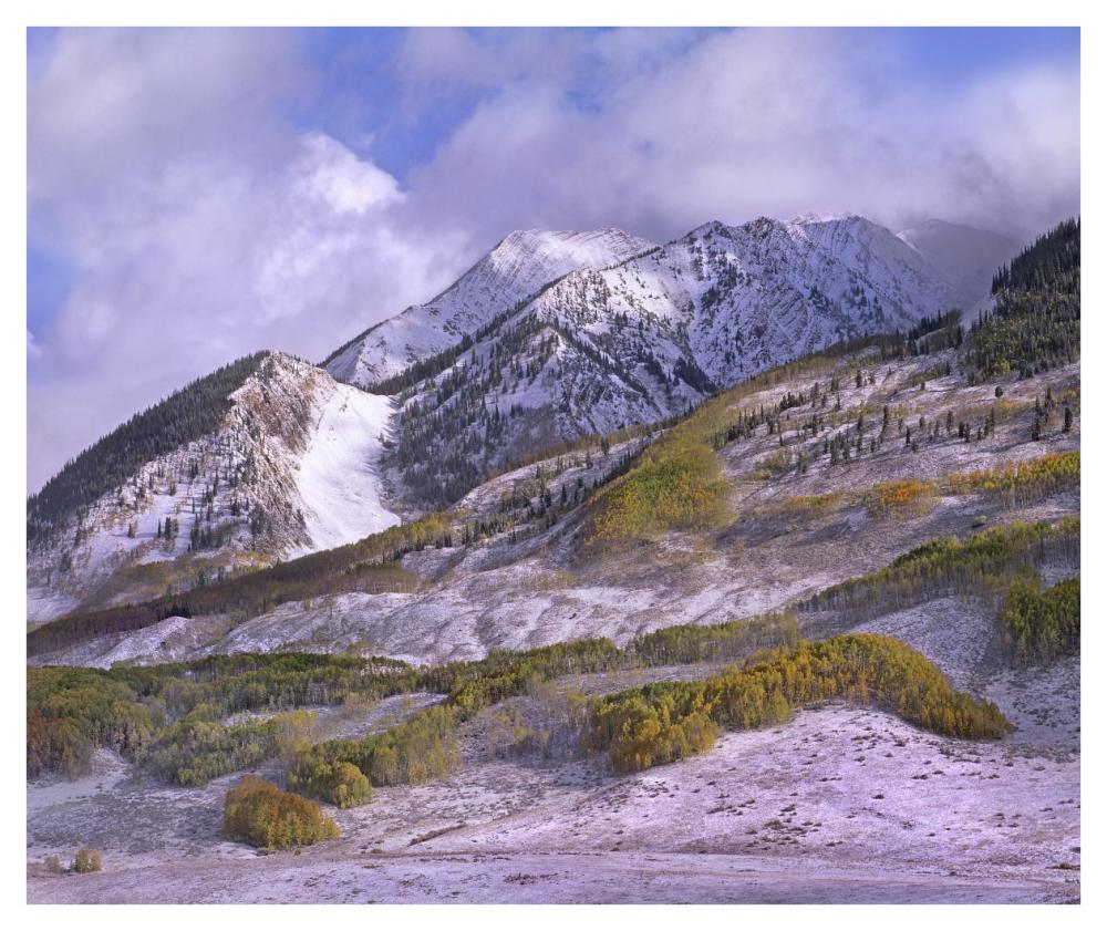 Elk Mountains with snow in autumn, Colorado-Paper Art-42"x35.2"
