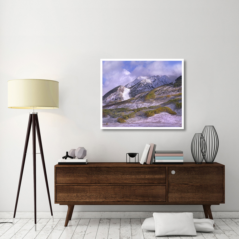 Elk Mountains with snow in autumn, Colorado-Paper Art-42&quotx35.2"