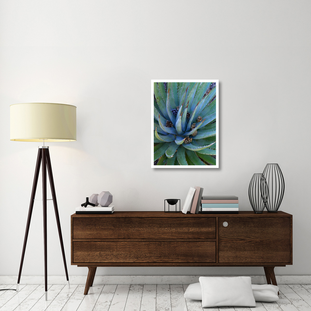 Agave plants with pine cones, North America-Paper Art-26&quotx34"