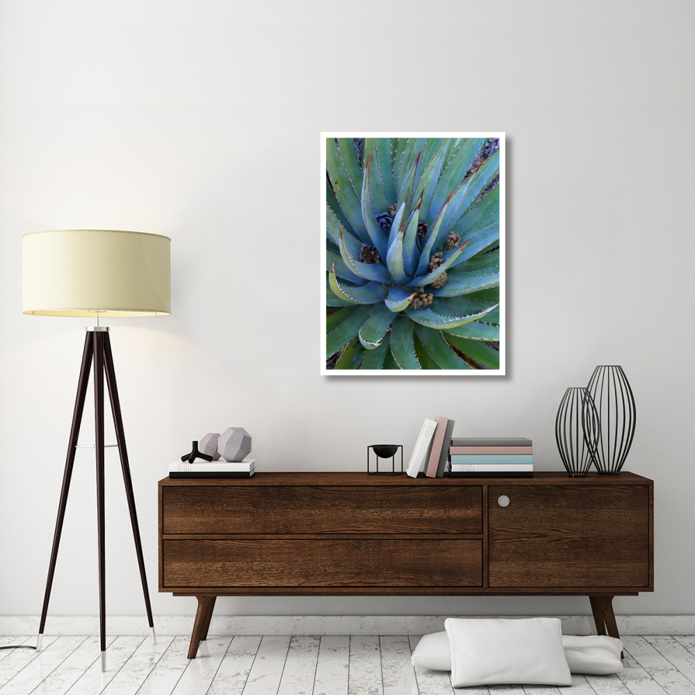 Agave plants with pine cones, North America-Paper Art-32&quotx42"