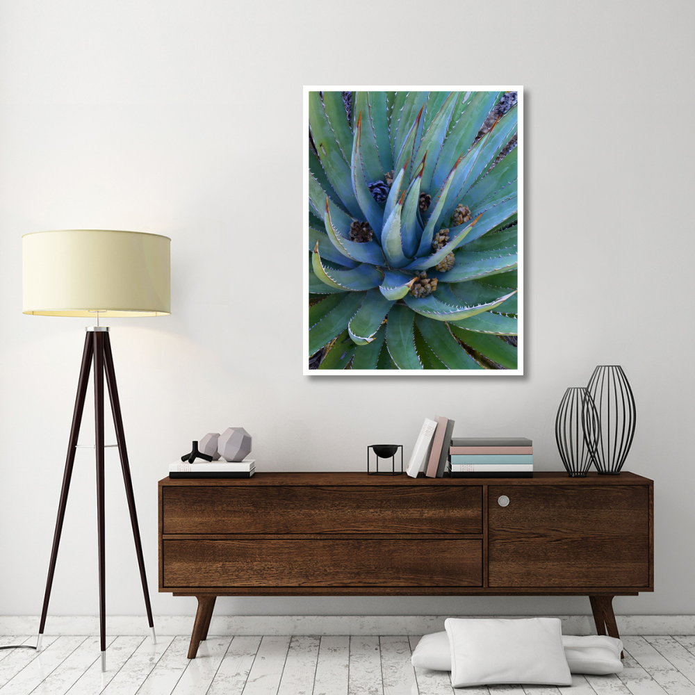 Agave plants with pine cones, North America-Paper Art-38&quotx50"