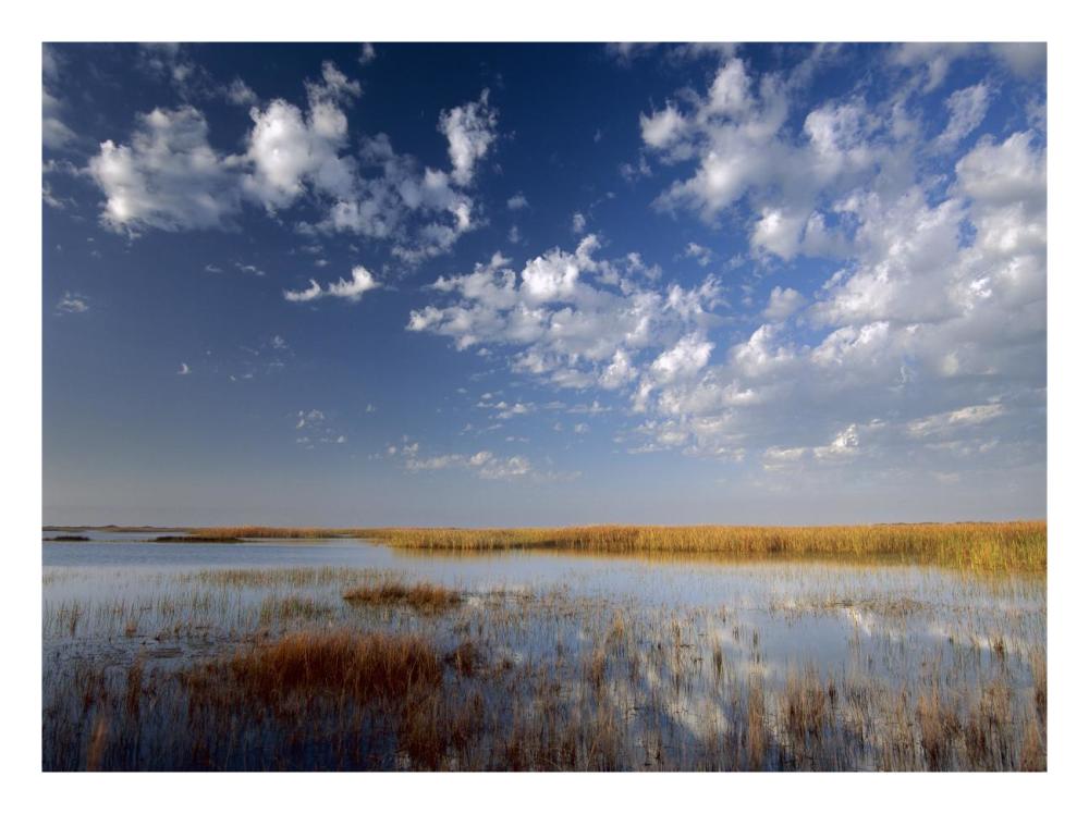 Marsh, Padre Island National Seashore, Texas-Paper Art-26"x20"