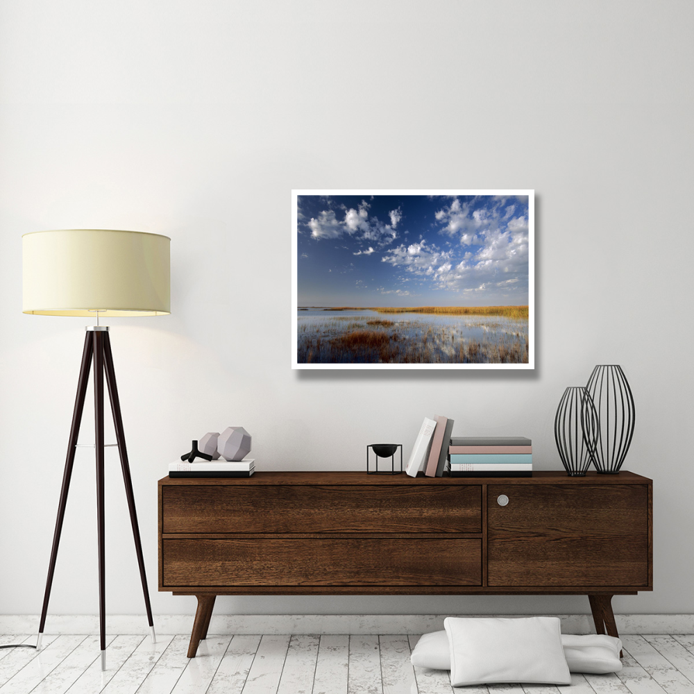 Marsh, Padre Island National Seashore, Texas-Paper Art-42&quotx32"