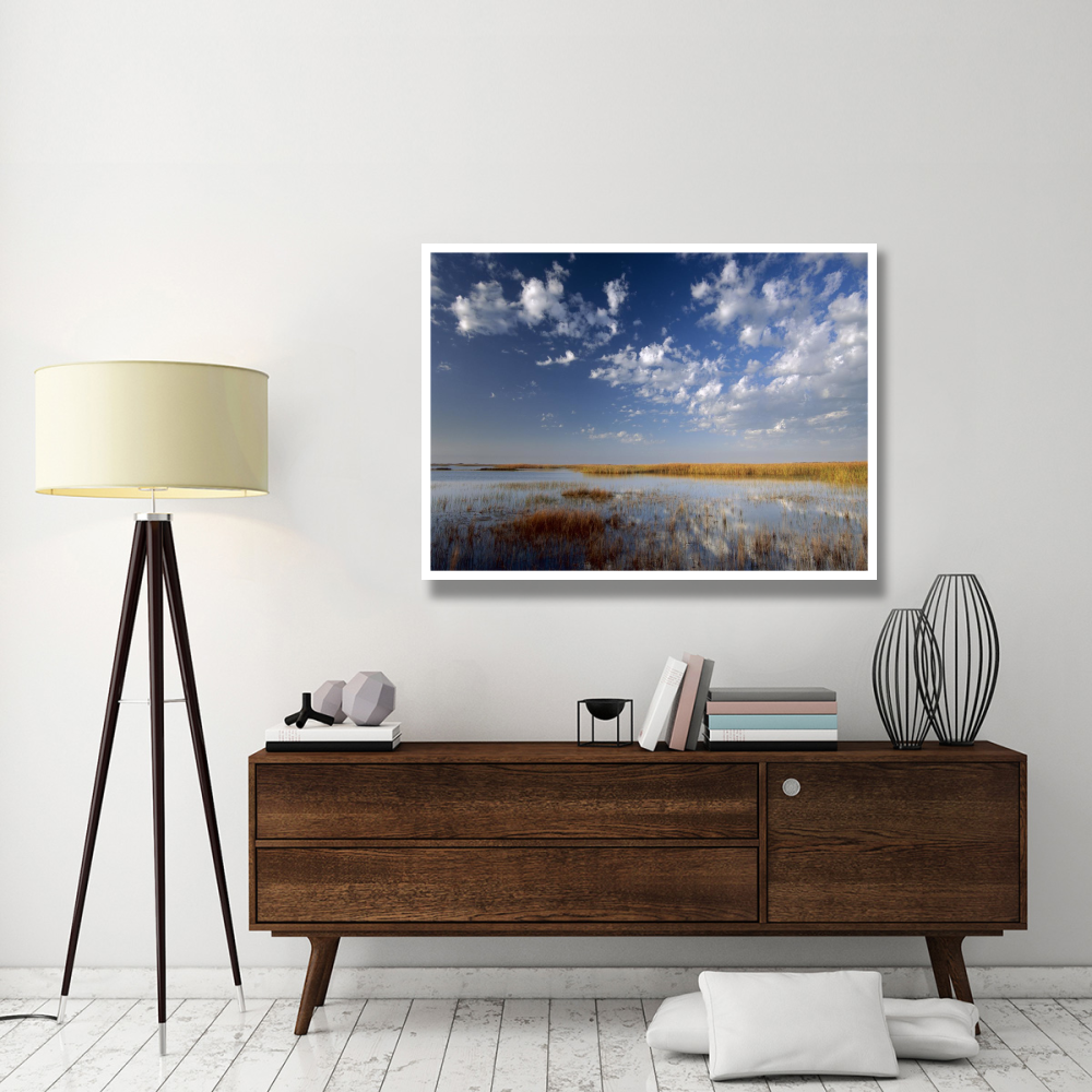 Marsh, Padre Island National Seashore, Texas-Paper Art-50&quotx38"