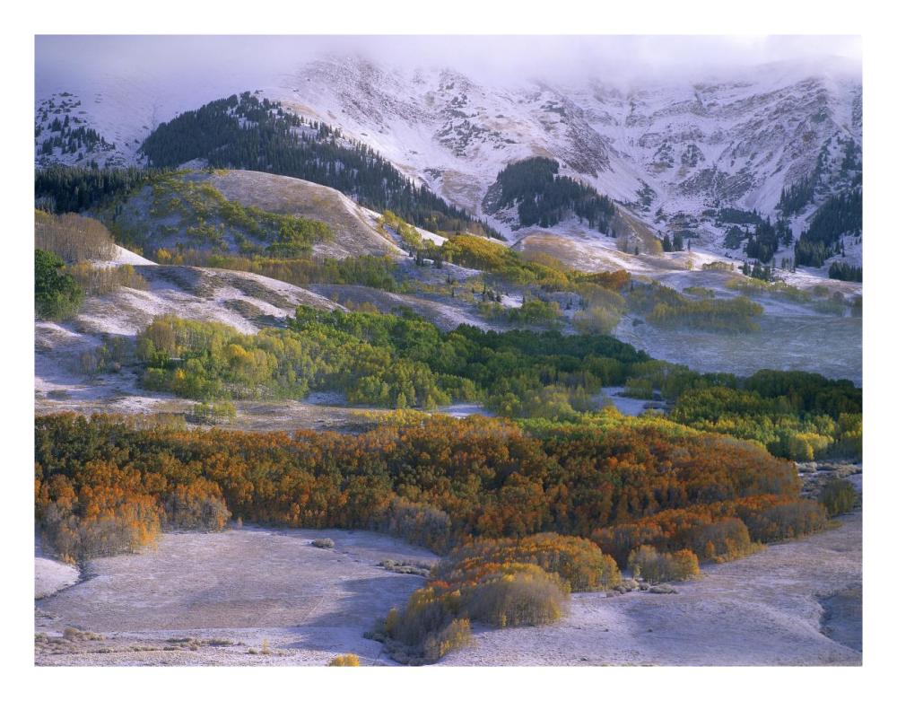 Elk Mountains with dusting of snow, Colorado-Paper Art-26"x20"