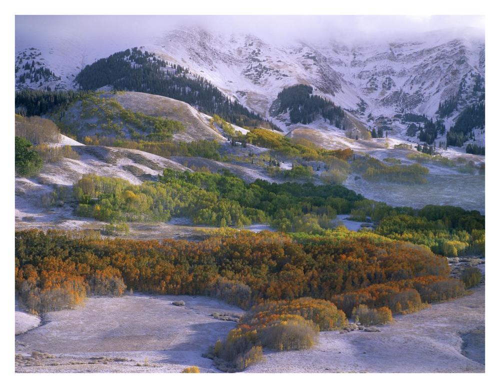 Elk Mountains with dusting of snow, Colorado-Paper Art-34"x26"