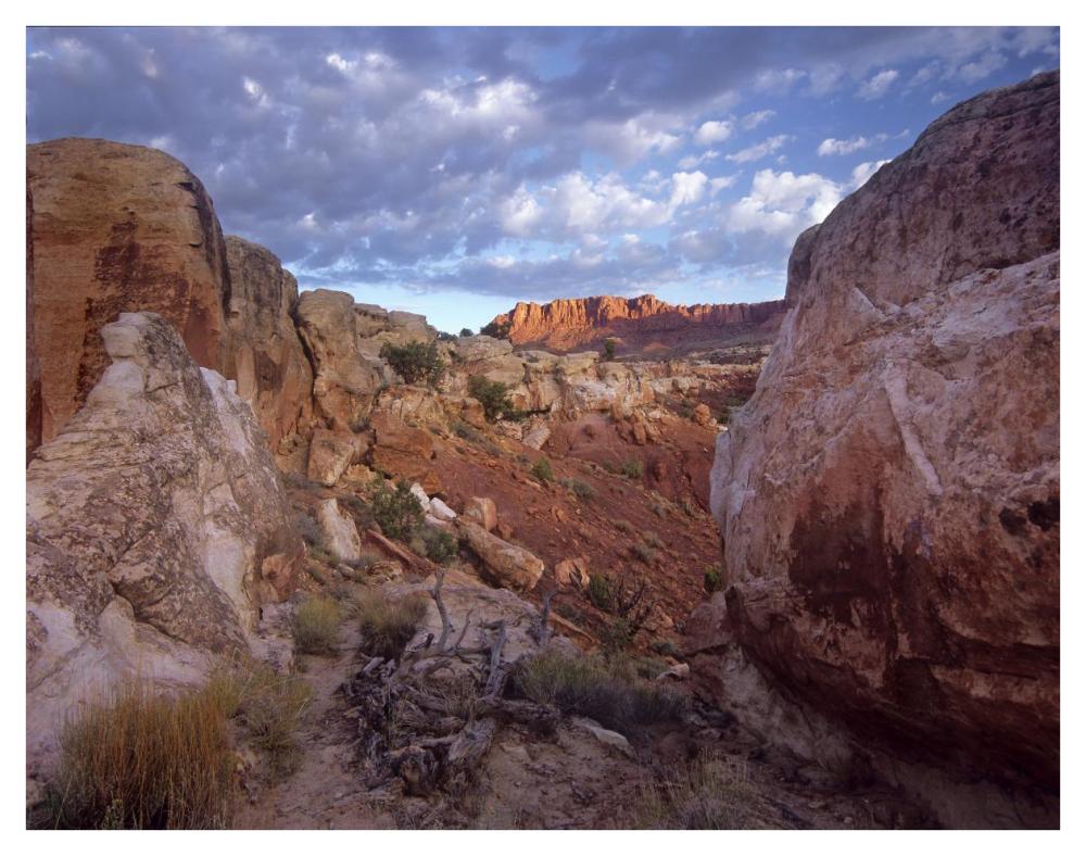Meeks Mesa, Capitol Reef National Park, Utah-Paper Art-42"x32"