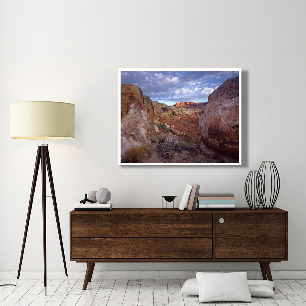 Meeks Mesa, Capitol Reef National Park, Utah-Paper Art-50&quotx38"
