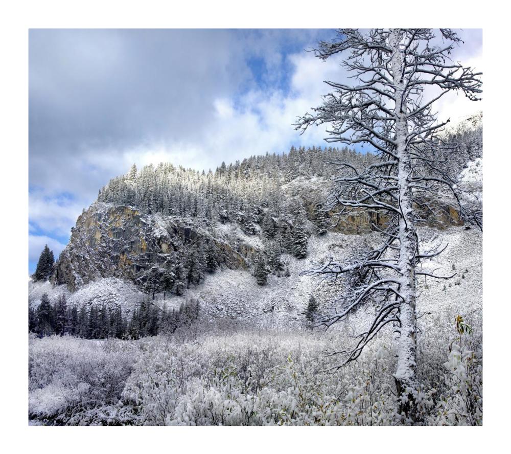 Light snow covering Boulder Mountains, Idaho-Paper Art-18"x16.08"