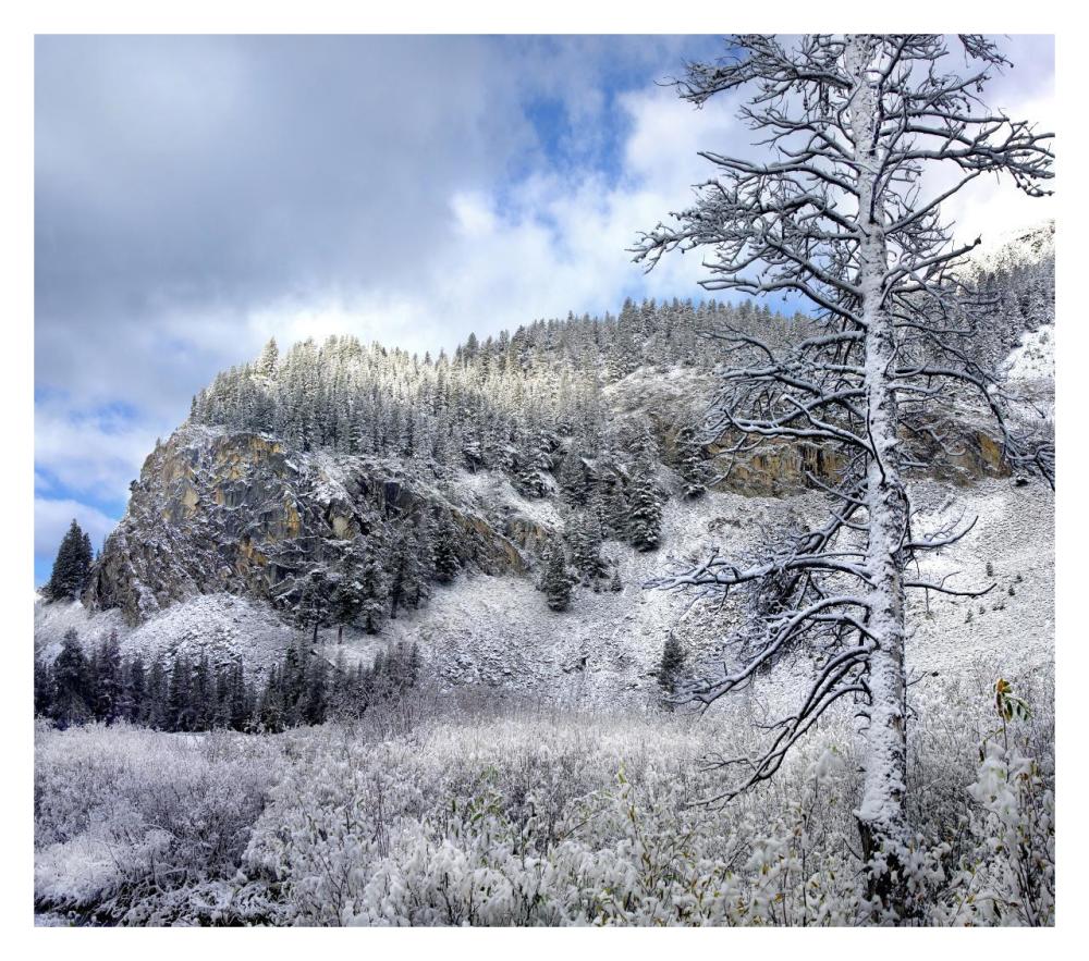 Light snow covering Boulder Mountains, Idaho-Paper Art-32"x28.4"