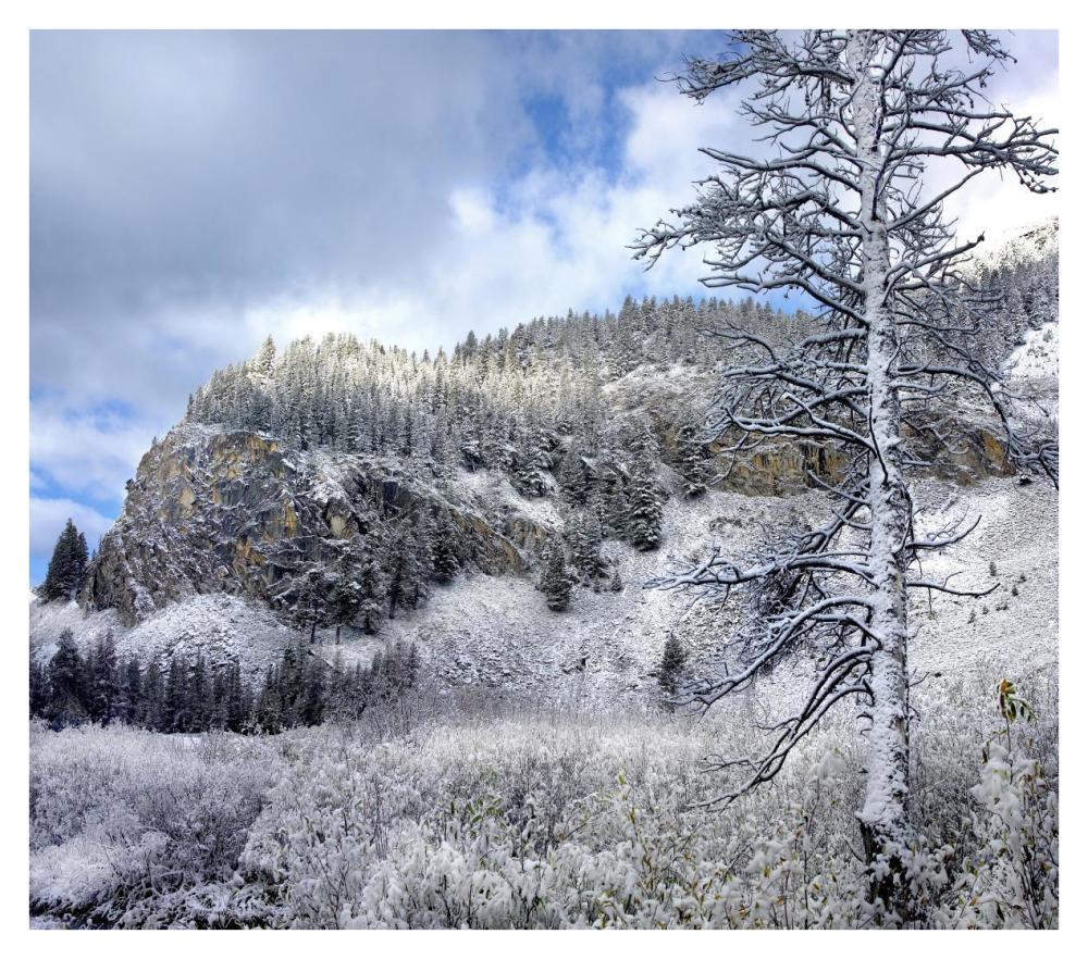 Light snow covering Boulder Mountains, Idaho-Paper Art-38"x33.68"