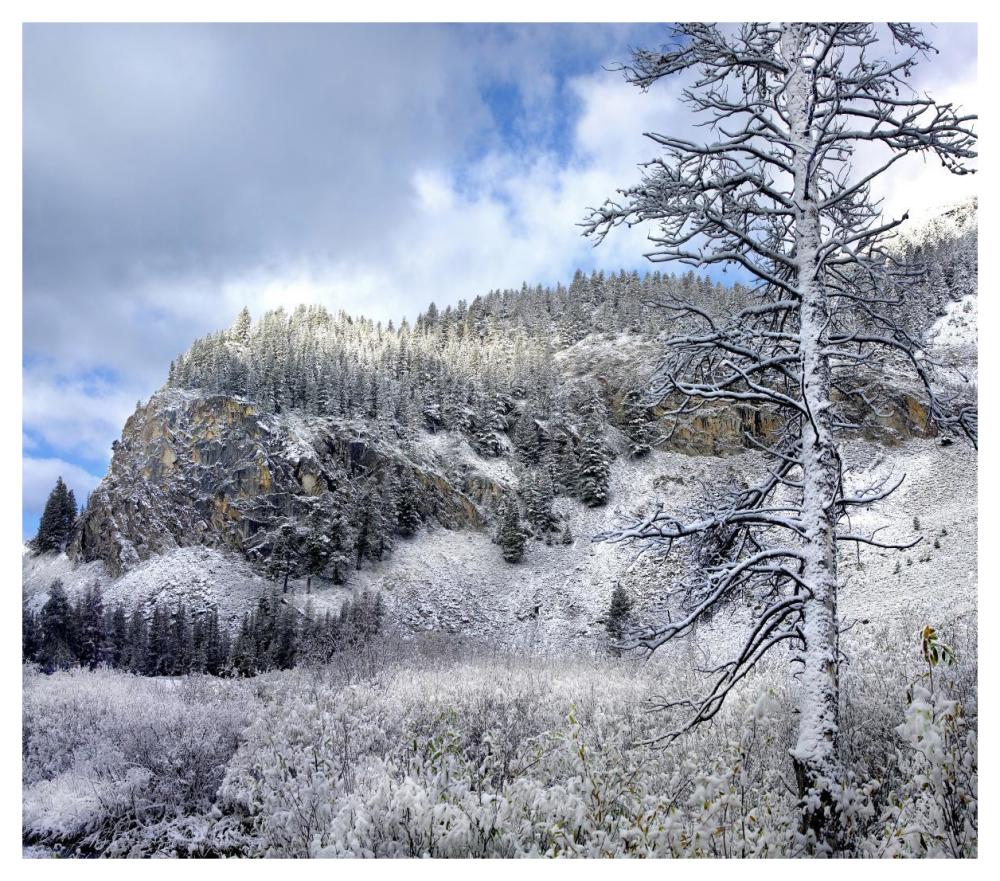 Light snow covering Boulder Mountains, Idaho-Paper Art-46"x40.72"