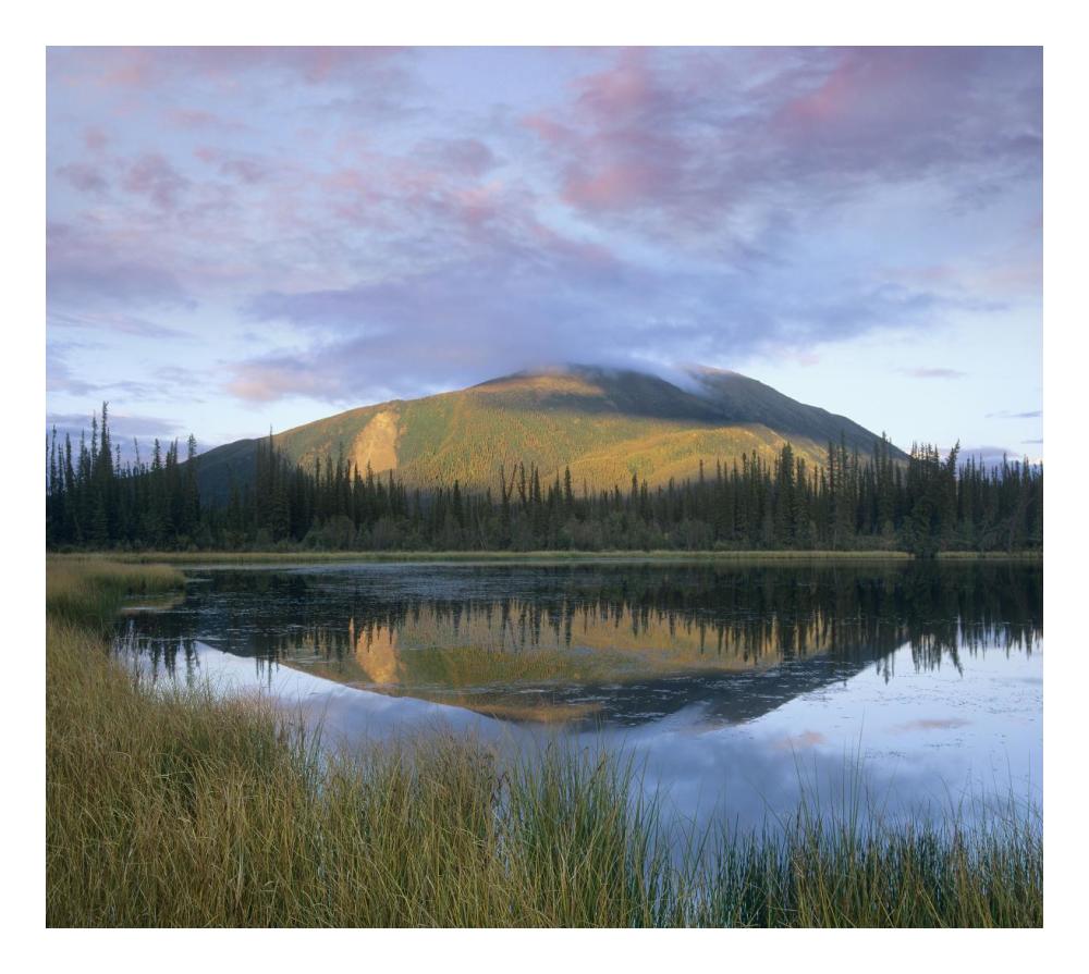 Pond reflecting Nisling Range, Yukon, Canada-Paper Art-24"x21.58"
