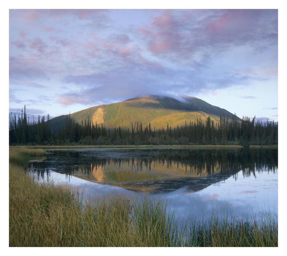 Pond reflecting Nisling Range, Yukon, Canada-Paper Art-32"x28.7"