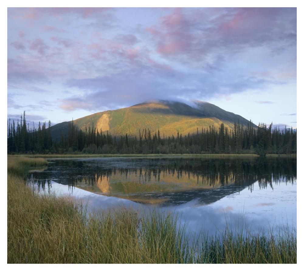 Pond reflecting Nisling Range, Yukon, Canada-Paper Art-42"x37.6"