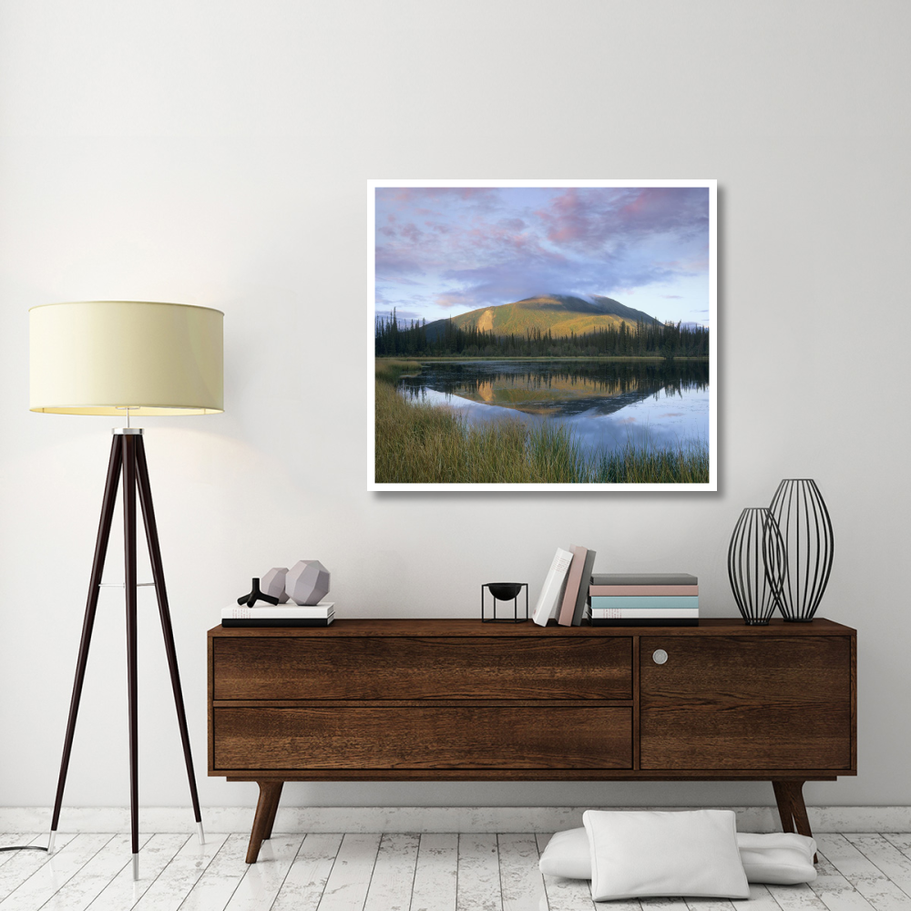 Pond reflecting Nisling Range, Yukon, Canada-Paper Art-46&quotx41.16"