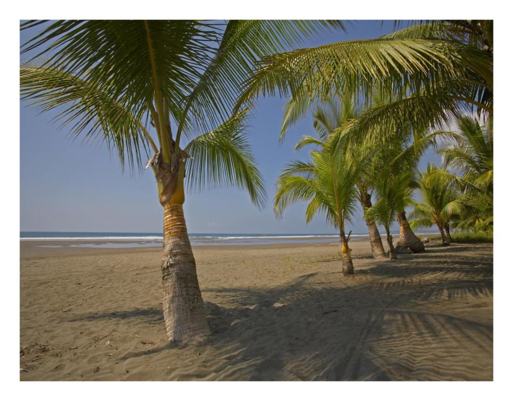 Playa Esterillos Este, Puntarenas, Costa Rica-Paper Art-26"x20"