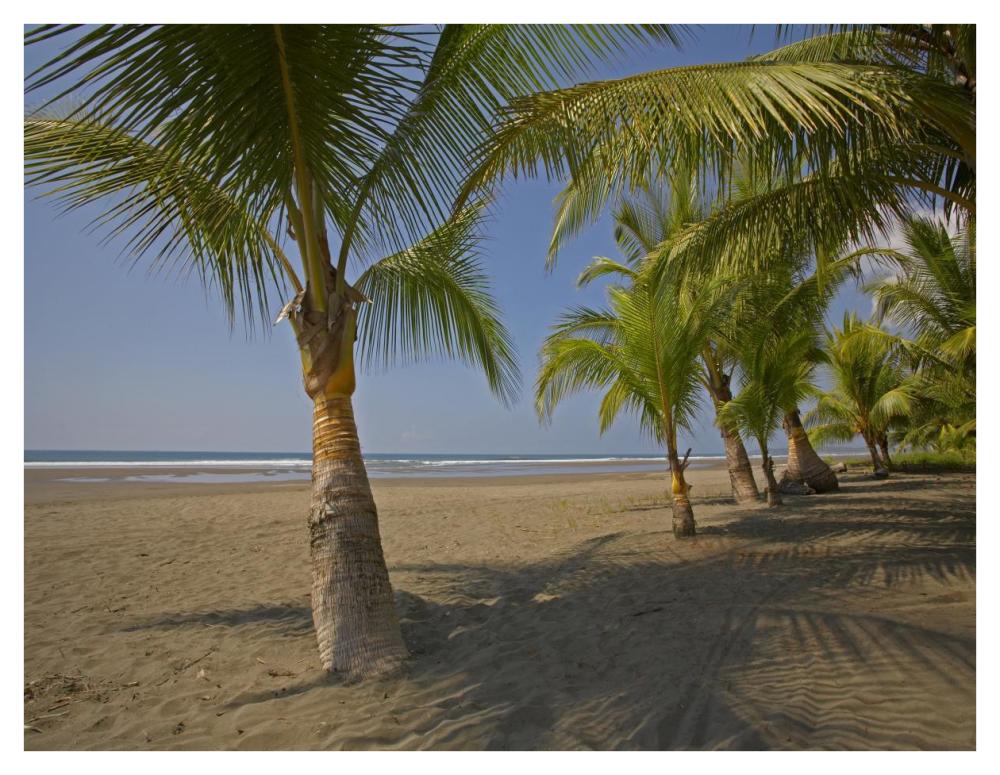 Playa Esterillos Este, Puntarenas, Costa Rica-Paper Art-42"x32"