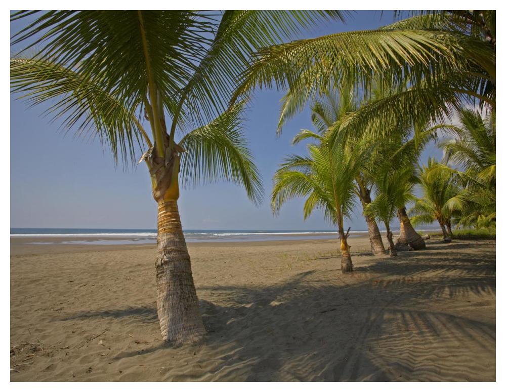 Playa Esterillos Este, Puntarenas, Costa Rica-Paper Art-50"x38"