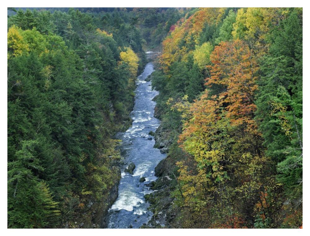 Ottauquechee River and Quechee Gorge, Vermont-Paper Art-42"x32"